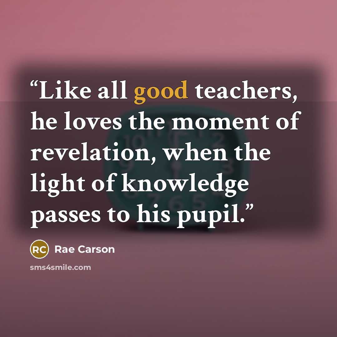 “Like all good teachers, he loves the moment of revelation, when the light of knowledge passes to his pupil.” quote by Rae Carson
