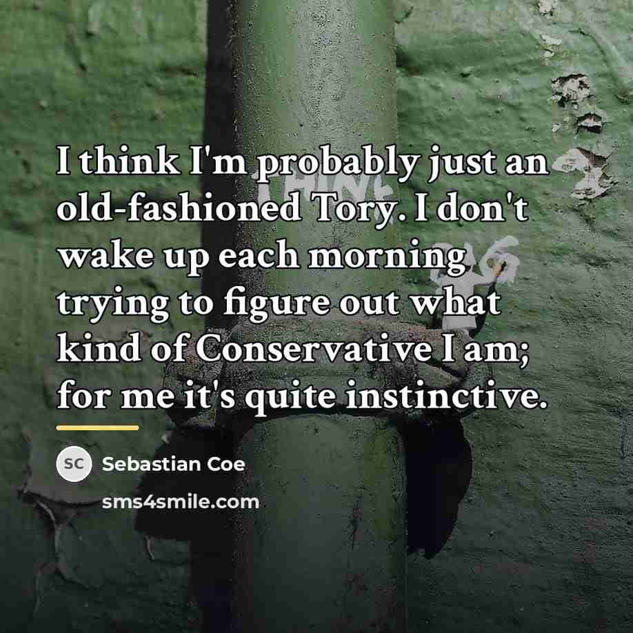 “I think I'm probably just an old-fashioned Tory. I don't…” quote by Sebastian Coe