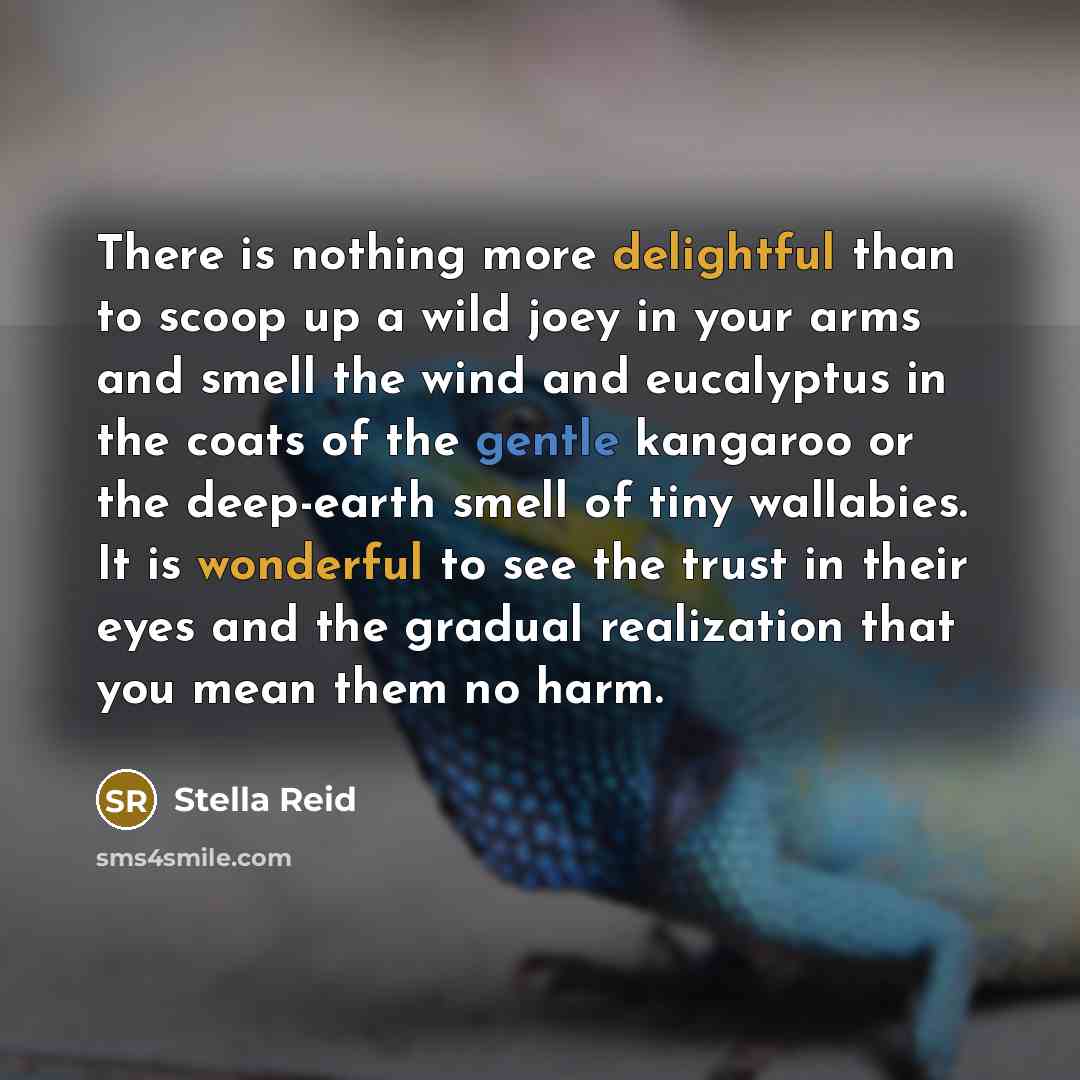 “There is nothing more delightful than to scoop up a wild joey in your arms and smell the wind and eucalyptus in the coats of the gentle kangaroo or the deep-earth smell of tiny wallabies. It is wonderful to see the trust in their eyes and the gradual realization that you mean them no harm.” quote by Stella Reid