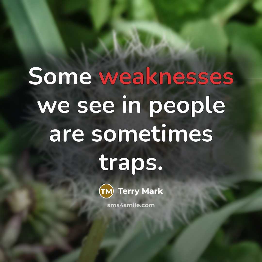 “Some weaknesses we see in people are sometimes traps.” quote by Terry Mark