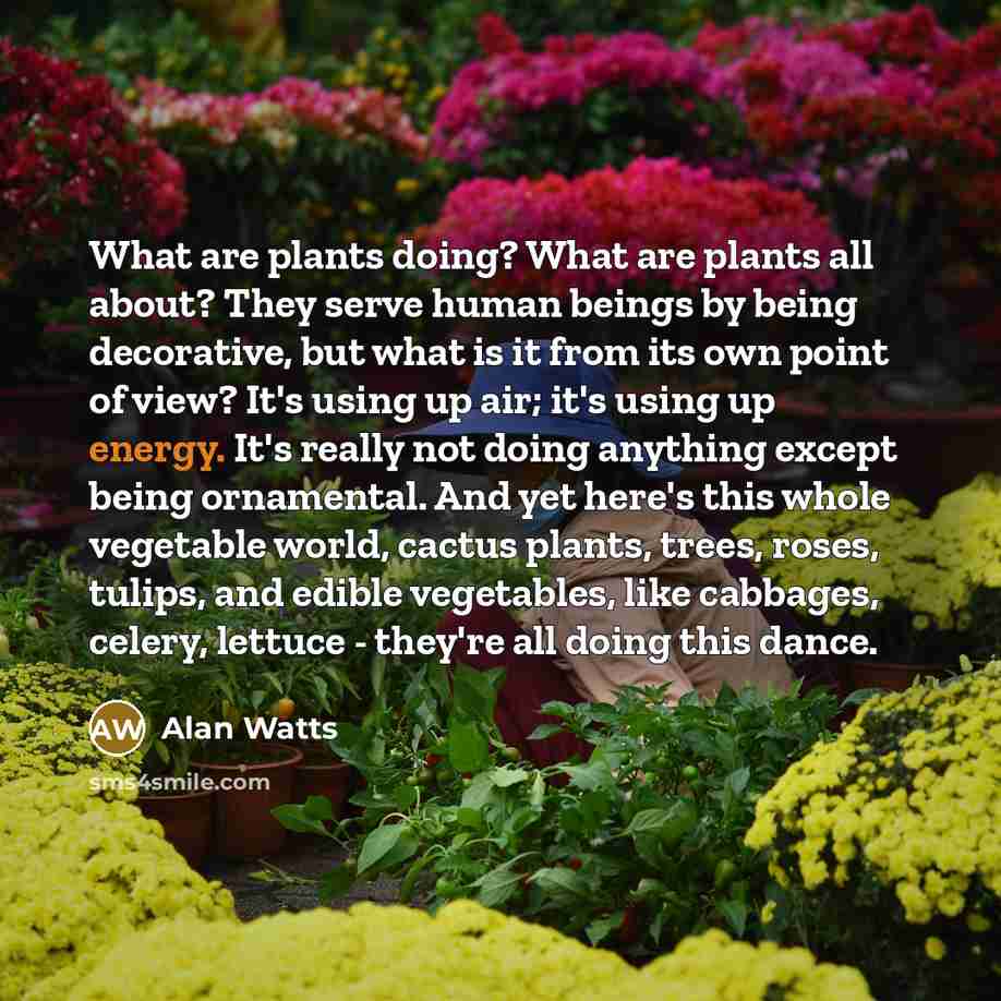 “What are plants doing? What are plants all about? They…” quote by Alan Watts