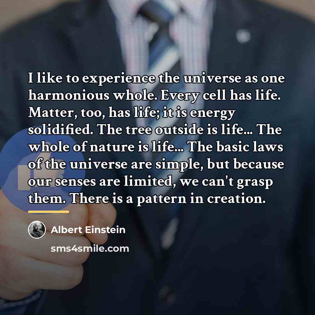 “I like to experience the universe as one harmonious whole.…” quote by Albert Einstein
