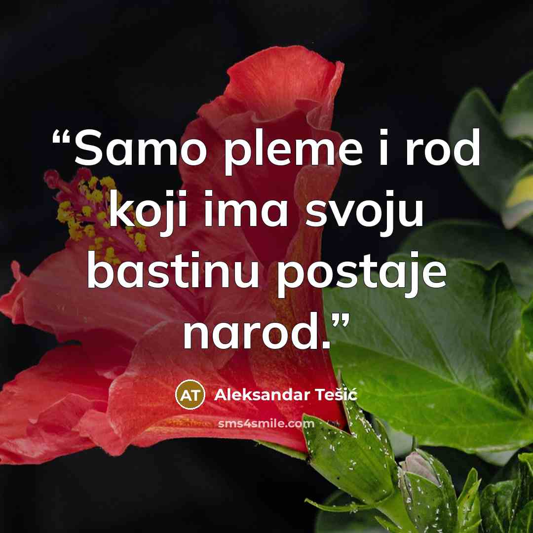 “Samo pleme i rod koji ima svoju bastinu postaje narod.” quote by Aleksandar Tešić