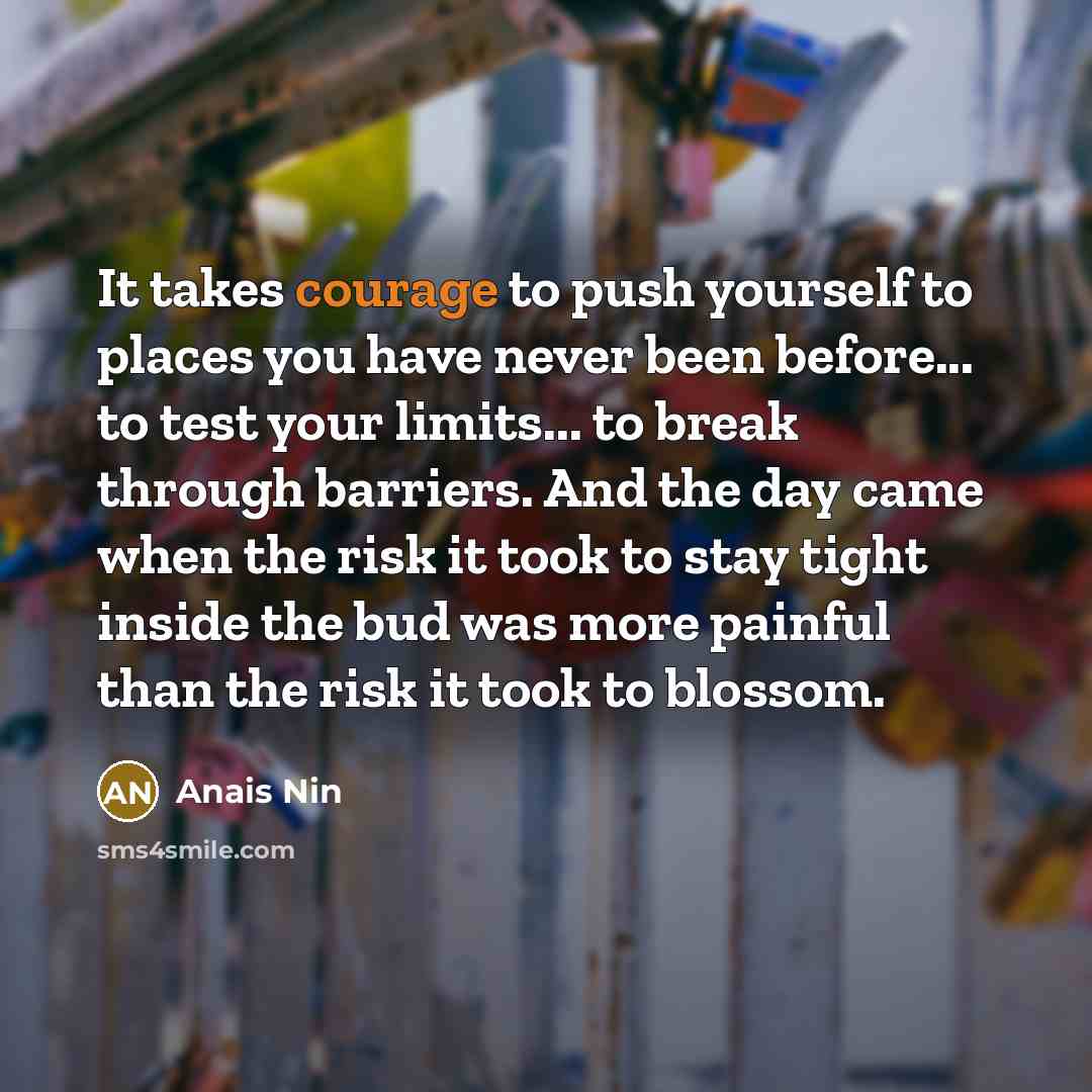 “It takes courage to push yourself to places you have…” quote by Anais Nin