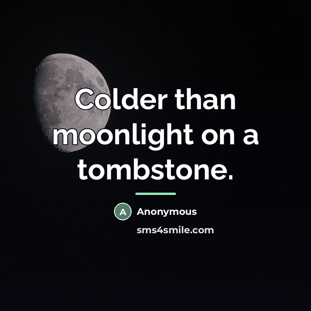 “Colder than moonlight on a tombstone.…” quote by Anonymous