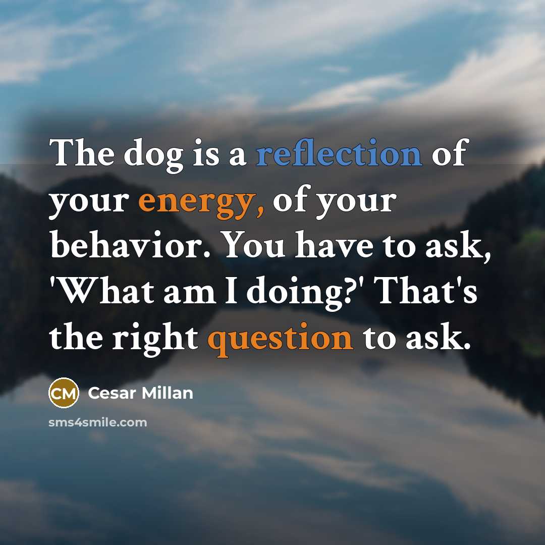 “The dog is a reflection of your energy, of your behavior. You have to ask, 'What am I doing?' That's the right question to ask.” quote by Cesar Millan