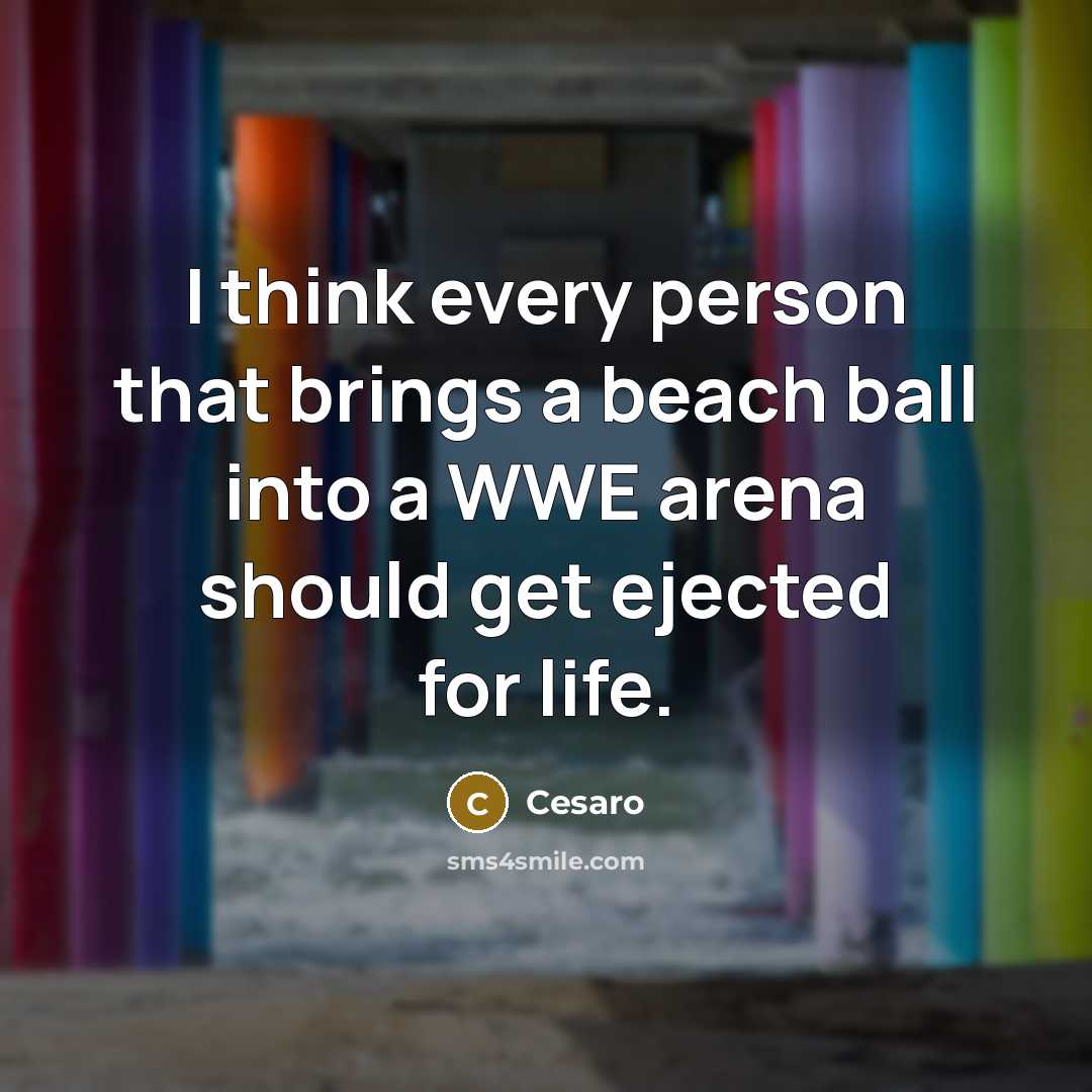 “I think every person that brings a beach ball into…” quote by Cesaro