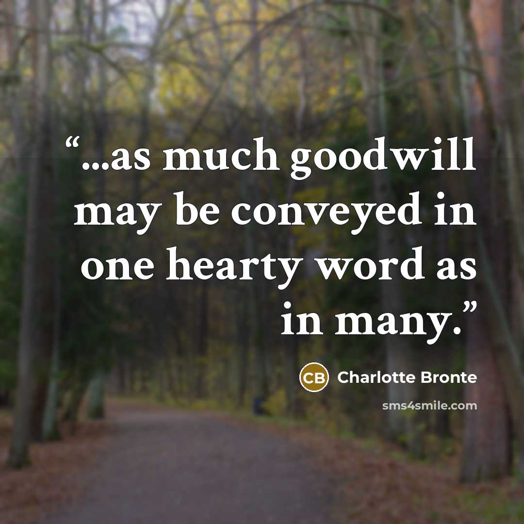 “...as much goodwill may be conveyed in one hearty word as in many.” quote by Charlotte Brontë