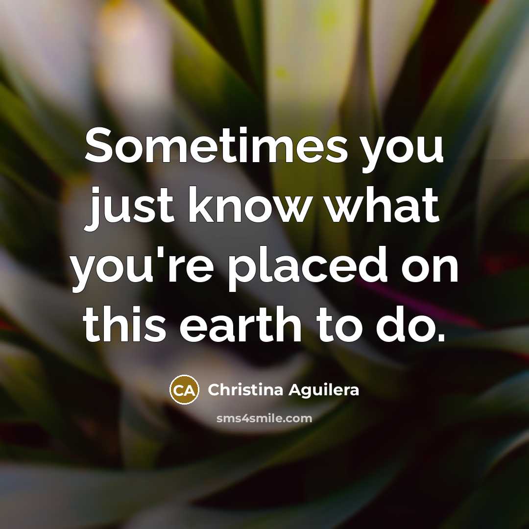 “Sometimes you just know what you're placed on this earth…” quote by Christina Aguilera