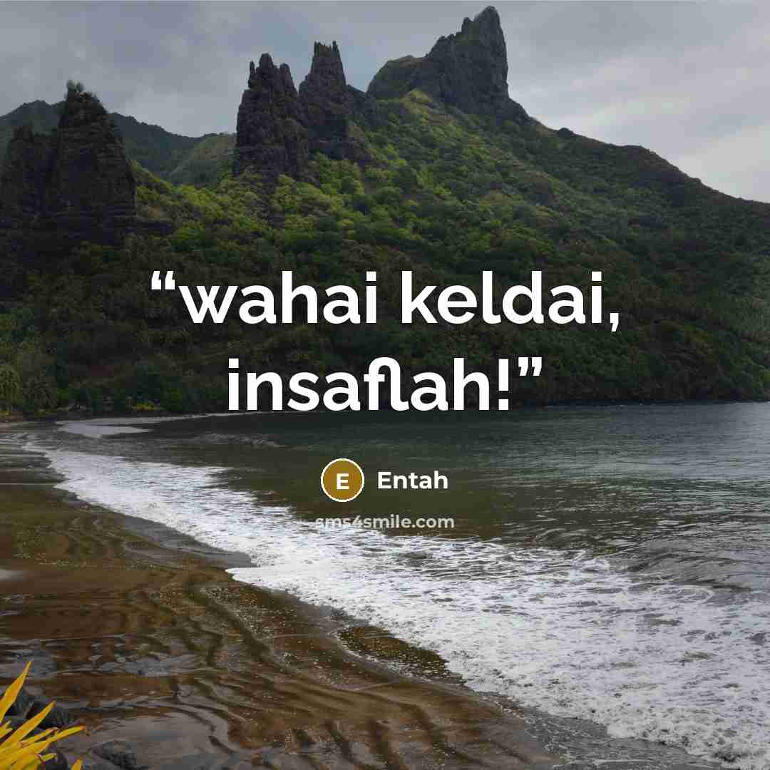 “wahai keldai, insaflah!” quote by Entah