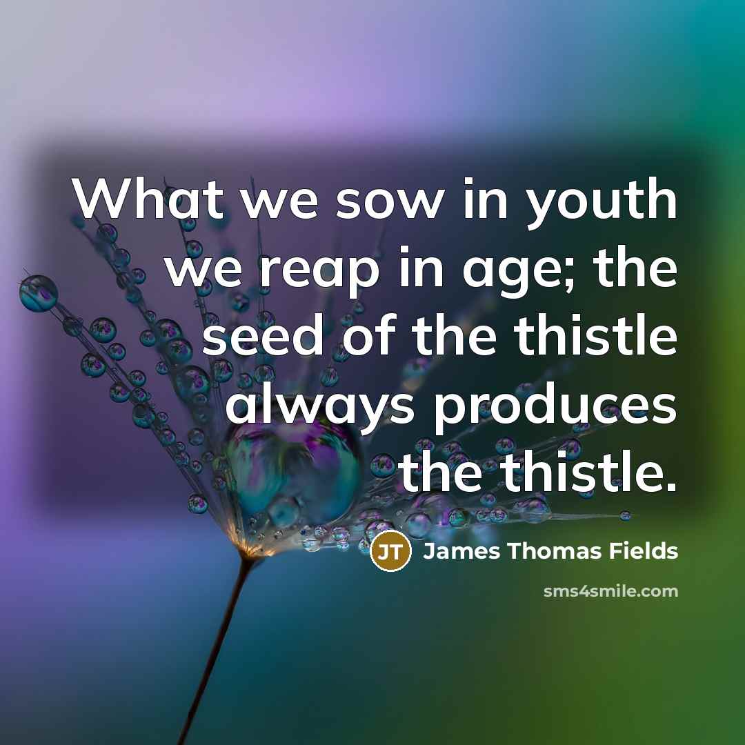 “What we sow in youth we reap in age; the…” quote by James Thomas Fields