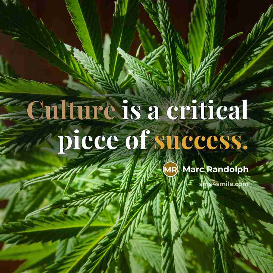 “Culture is a critical piece of success.…” quote by Marc Randolph