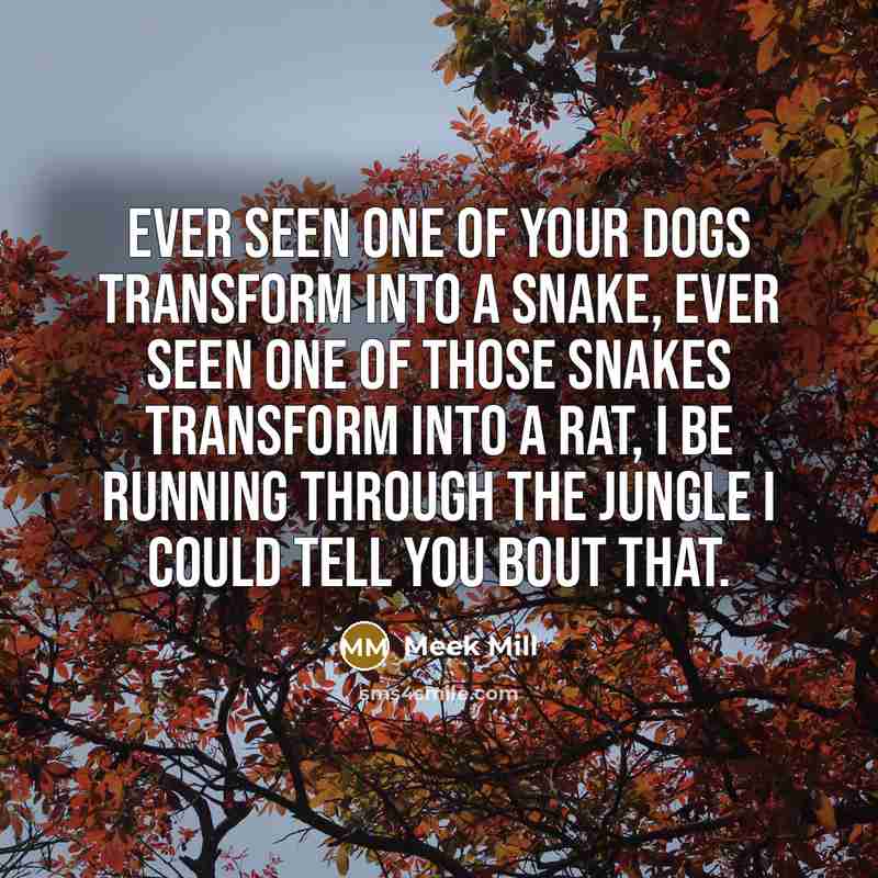 “Ever seen one of your dogs transform into a snake,…” quote by Meek Mill