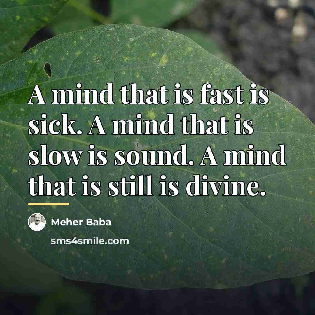 “A mind that is fast is sick. A mind that…” quote by Meher Baba