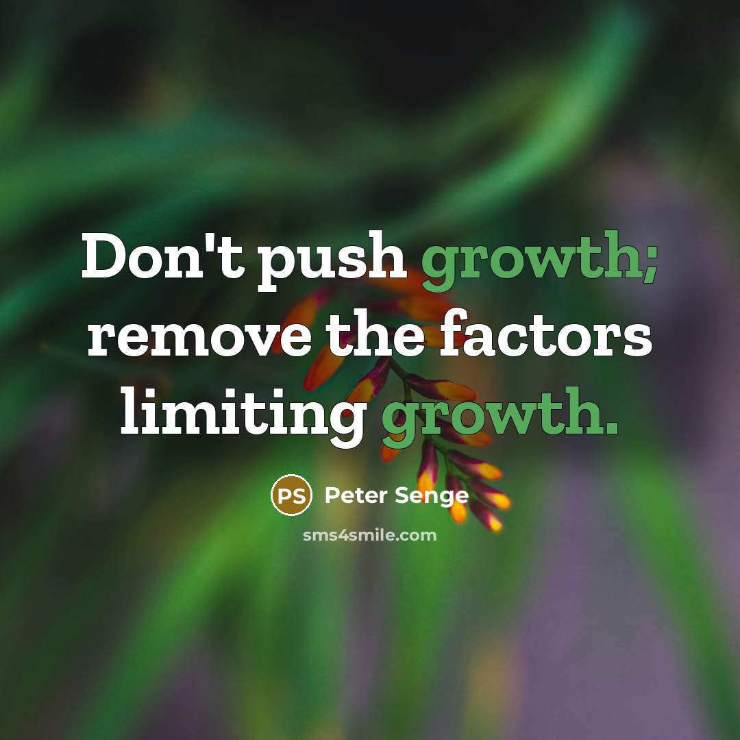 “Don't push growth; remove the factors limiting growth.…” quote by Peter Senge