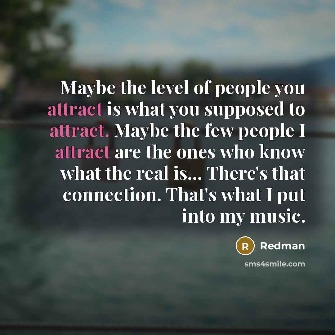 “Maybe the level of people you attract is what you…” quote by Redman