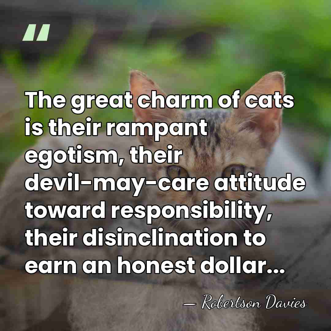 The great charm of cats is their rampant egotism, their devil-may-care attitude&hellip; - Robertson Davies
