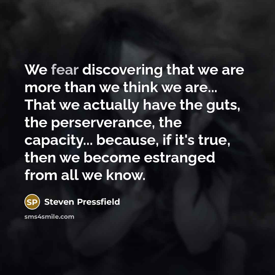 “We fear discovering that we are more than we think…” quote by Steven Pressfield