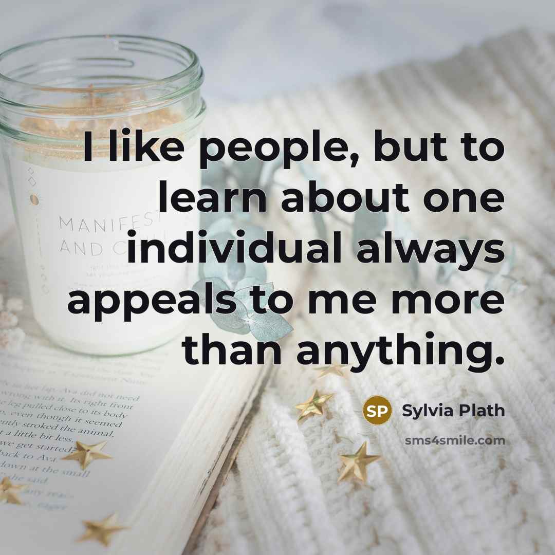 “I like people, but to learn about one individual always…” quote by Sylvia Plath