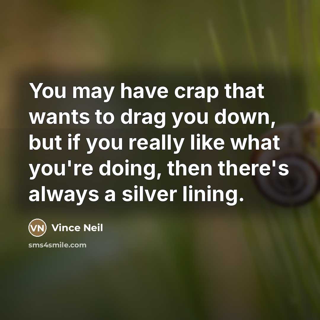 “You may have crap that wants to drag you down,…” quote by Vince Neil
