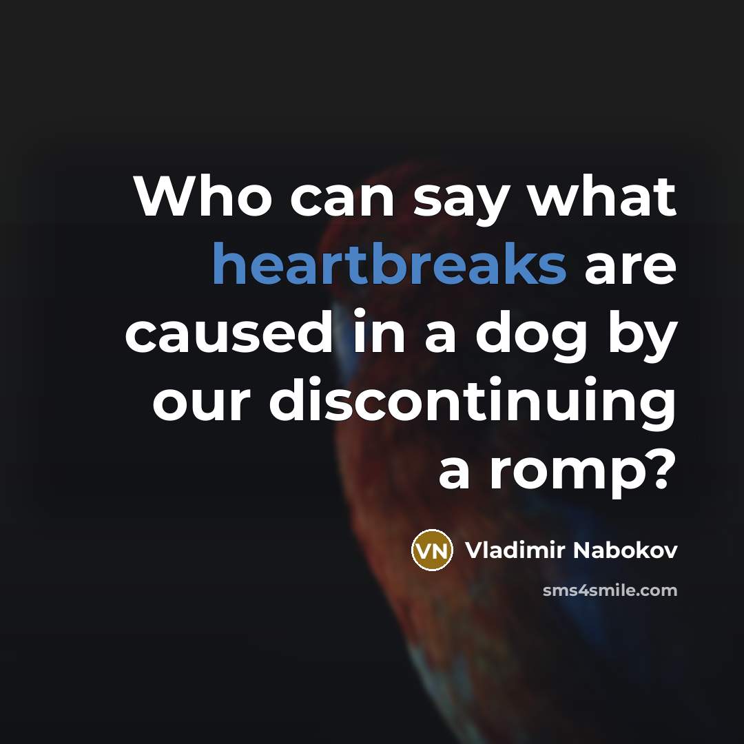 “Who can say what heartbreaks are caused in a dog by our discontinuing a romp?” quote by Vladimir Nabokov