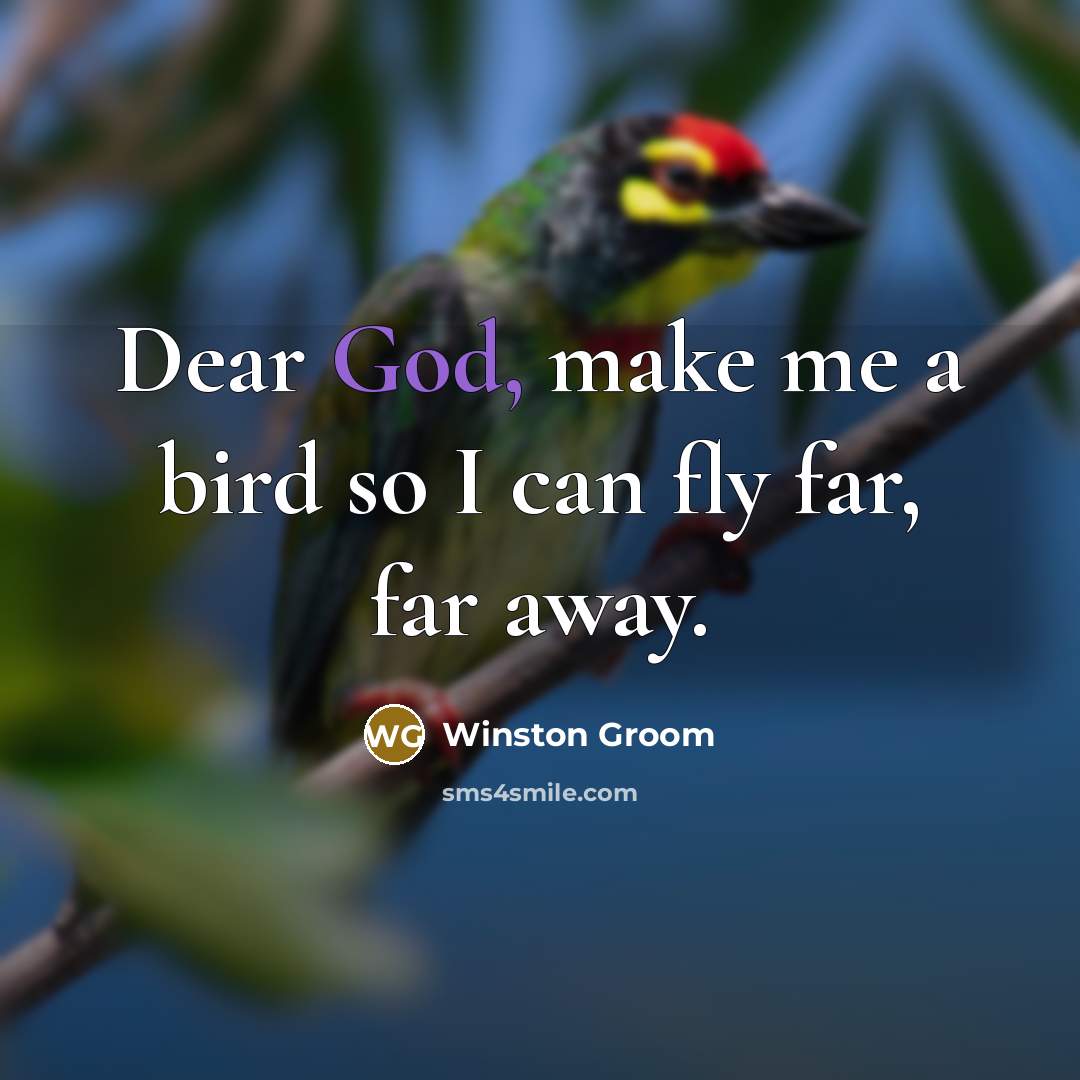 “Dear God, make me a bird so I can fly…” quote by Winston Groom