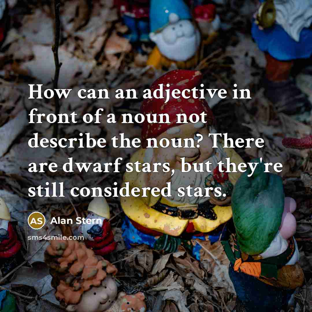 “How can an adjective in front of a noun not…” quote by Alan Stern