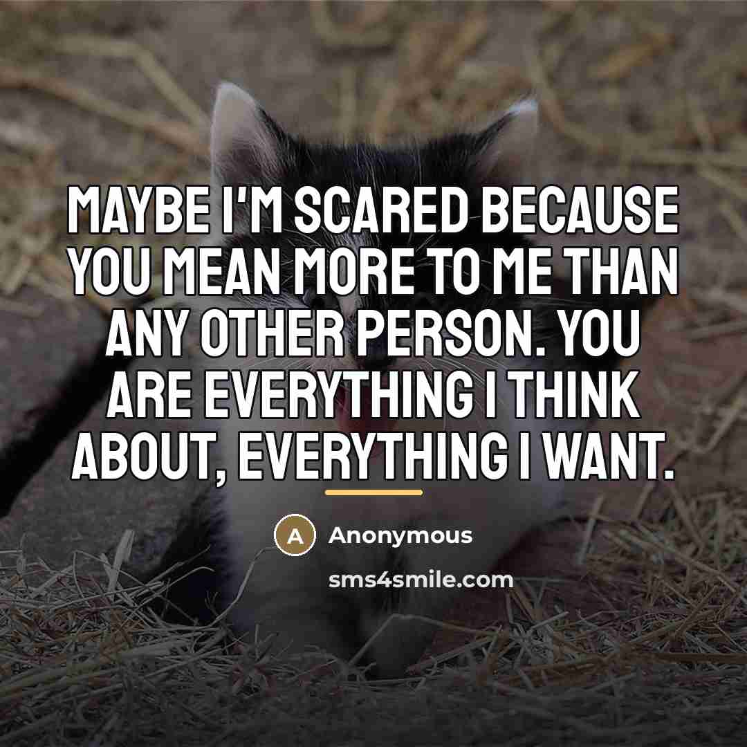 “Maybe I'm scared because you mean more to me than…” quote by Anonymous