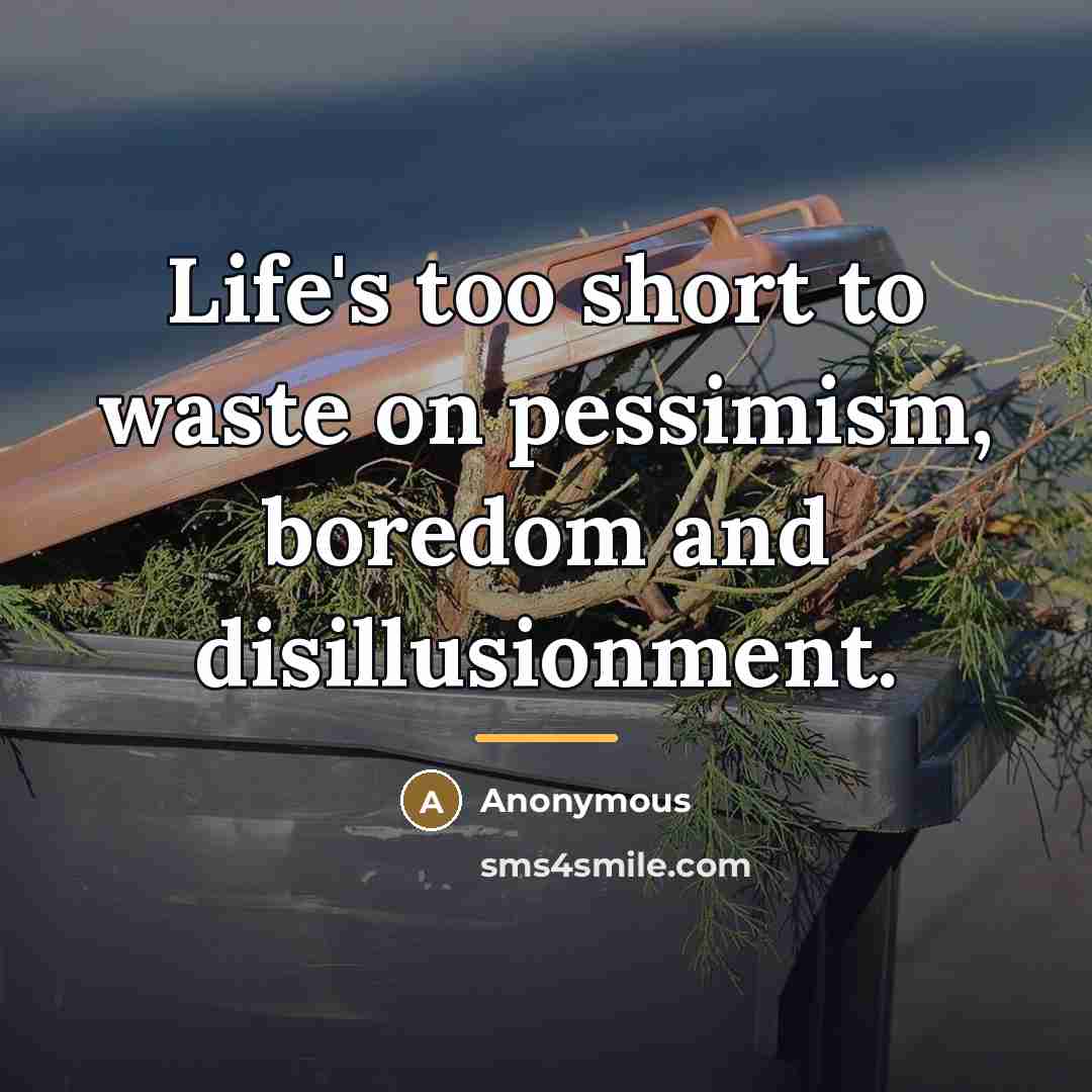 “Life's too short to waste on pessimism, boredom and disillusionment.…” quote by Anonymous