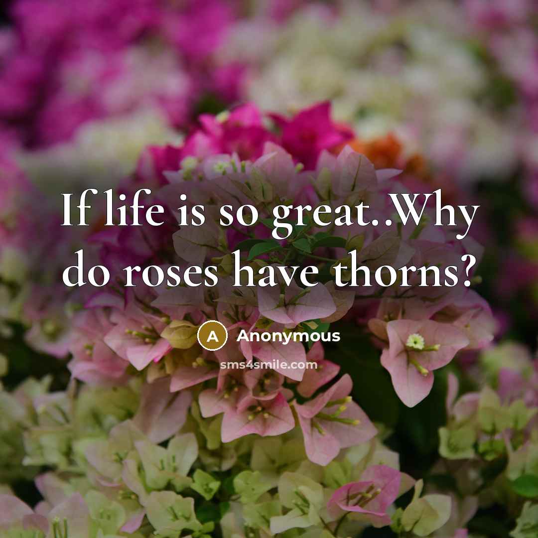 “If life is so great..Why do roses have thorns?…” quote by Anonymous