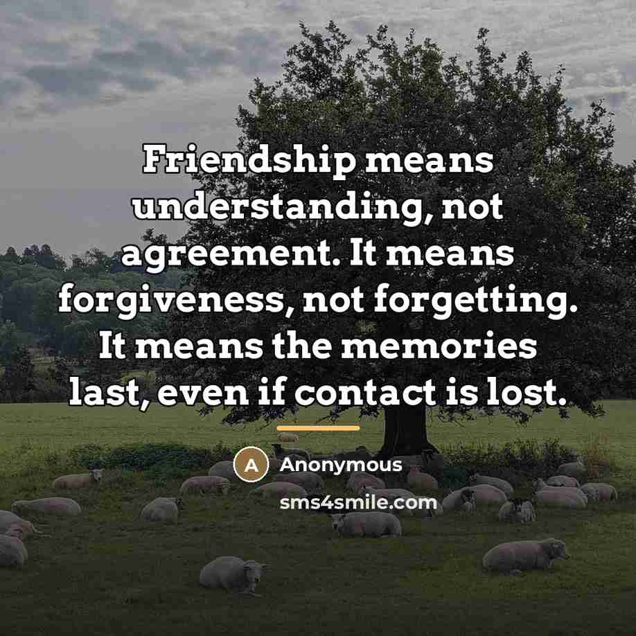 “Friendship means understanding, not agreement. It means forgiveness, not forgetting.…” quote by Anonymous