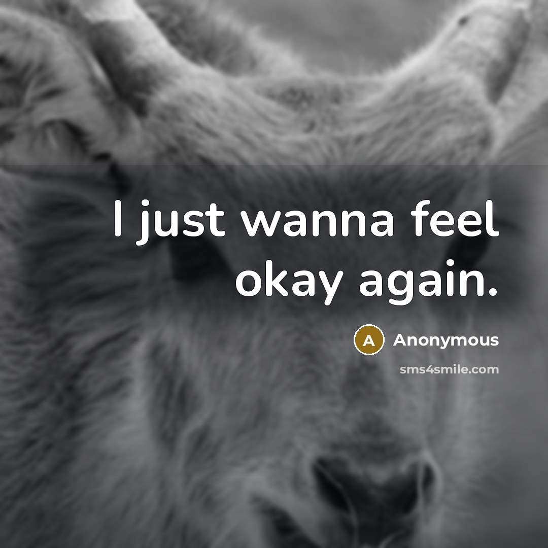 “I just wanna feel okay again.…” quote by Anonymous