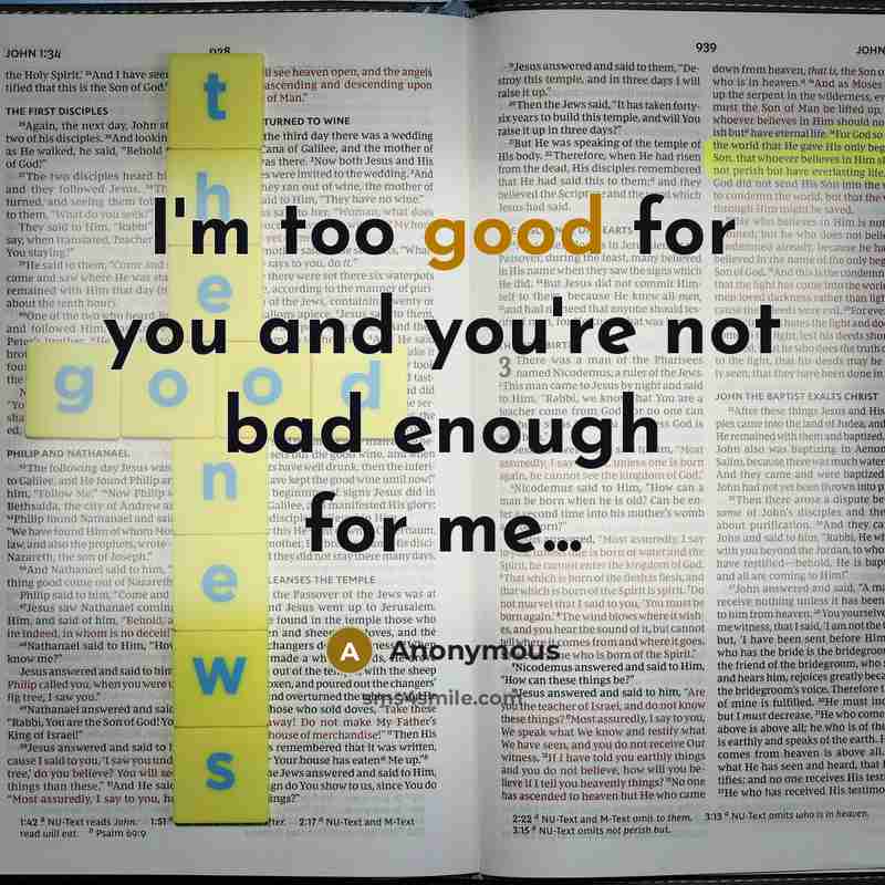 “I'm too good for you and you're not bad enough for me...” quote by Anonymous