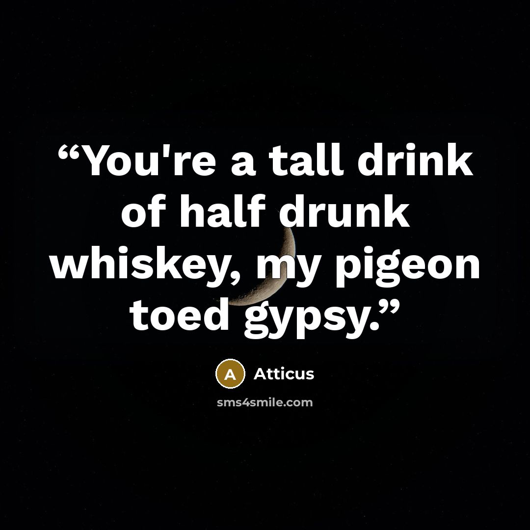 “You're a tall drink of half drunk whiskey, my pigeon toed gypsy.” quote by Atticus