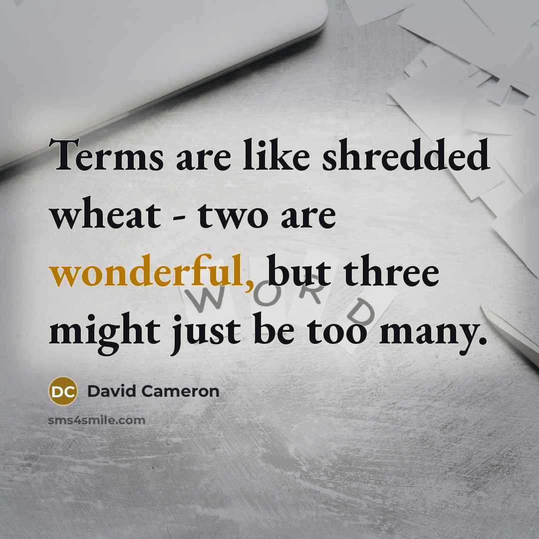 “Terms are like shredded wheat - two are wonderful, but three might just be too many.” quote by David Cameron