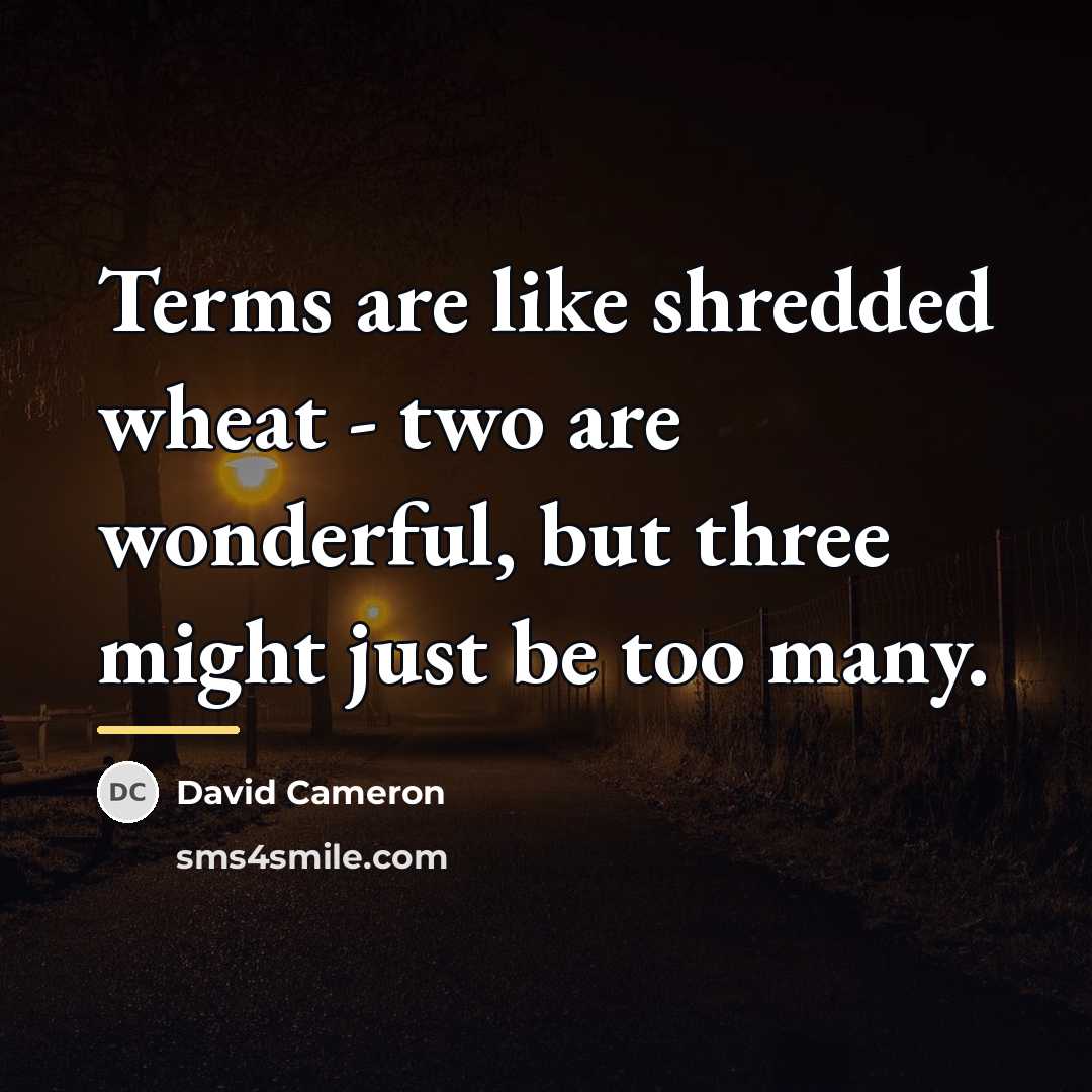 “Terms are like shredded wheat - two are wonderful, but…” quote by David Cameron