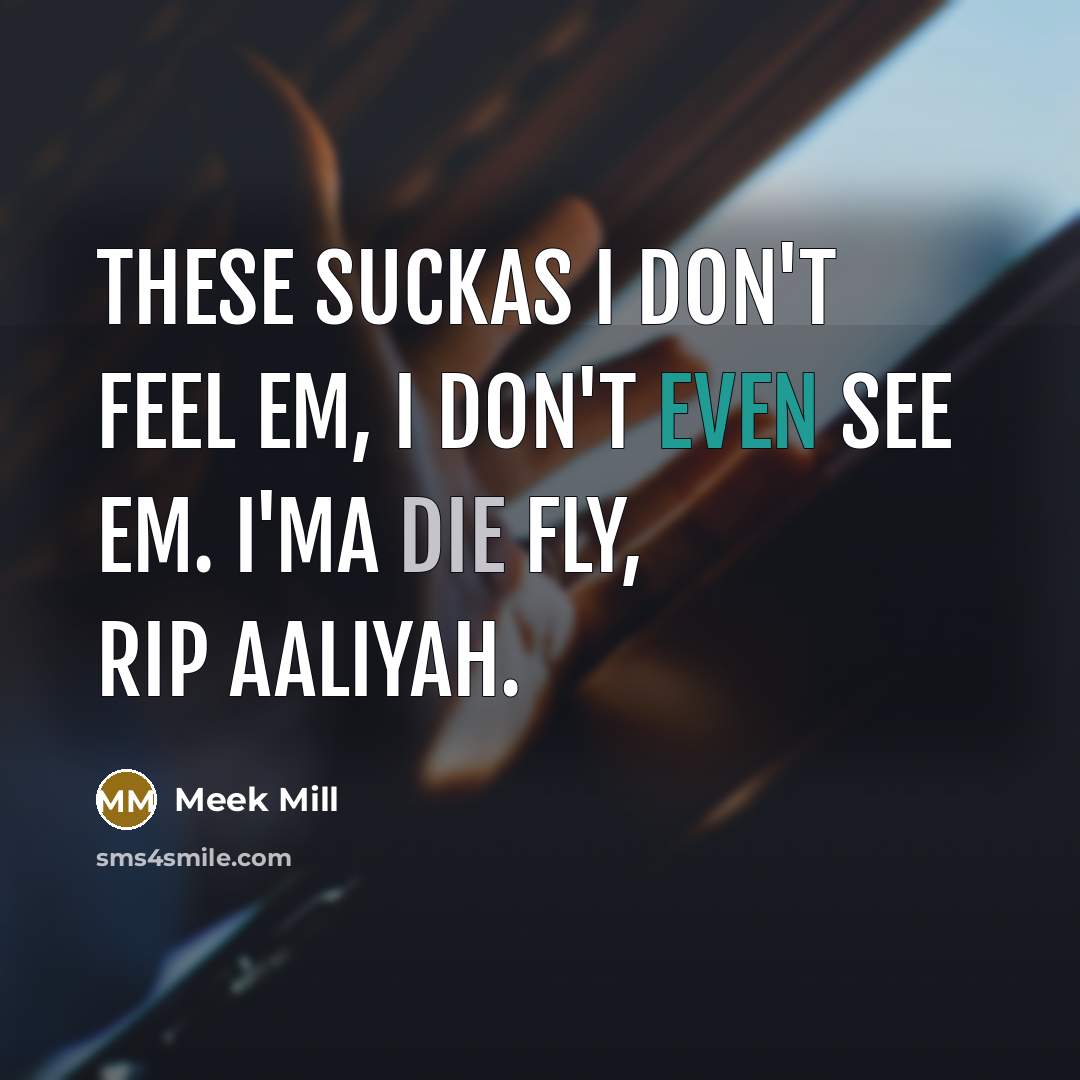 “These suckas I don't feel em, I don't even see em. I'ma die fly, RIP Aaliyah.” quote by Meek Mill