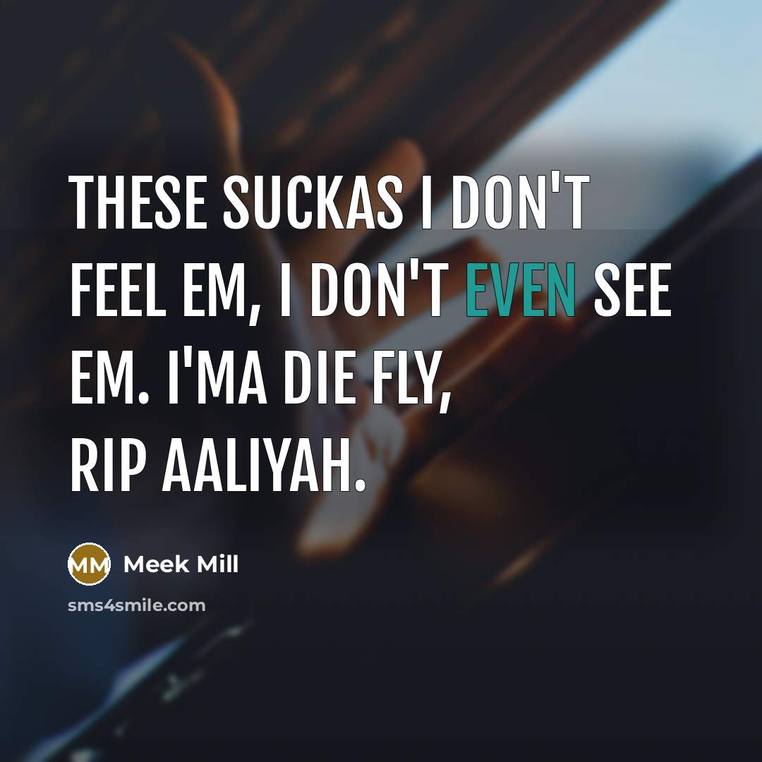 “These suckas I don't feel em, I don't even see…” quote by Meek Mill