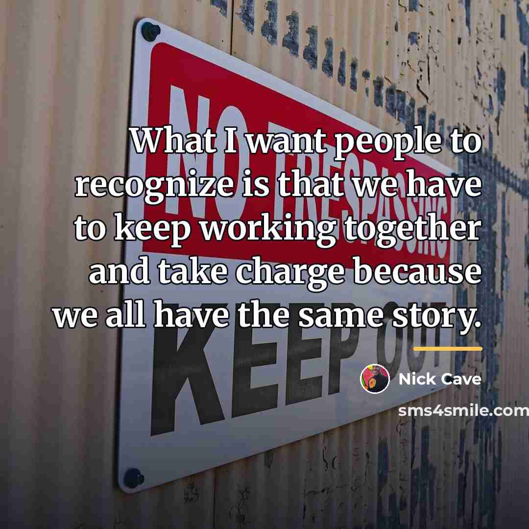 “What I want people to recognize is that we have…” quote by Nick Cave