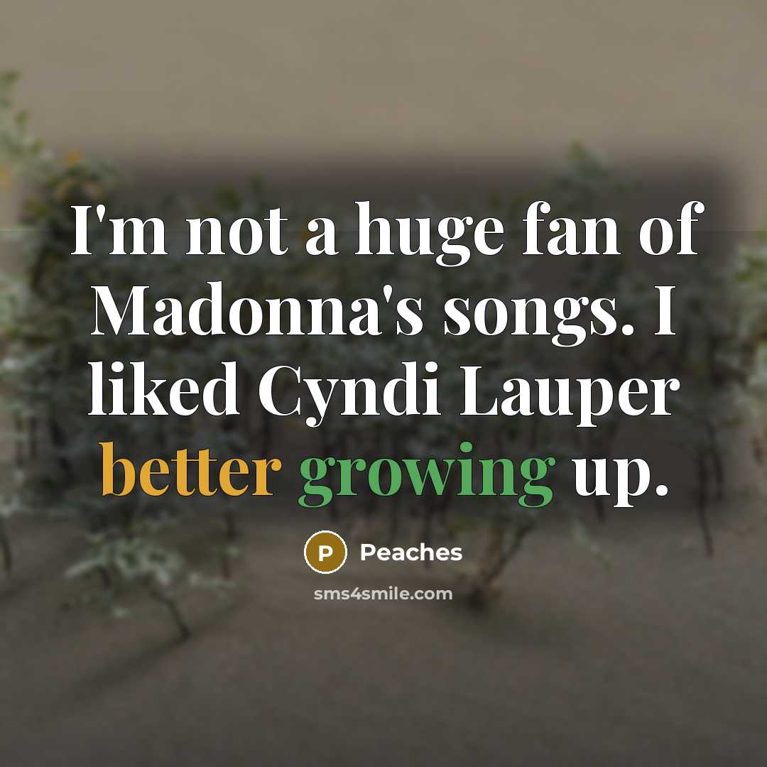 “I'm not a huge fan of Madonna's songs. I liked…” quote by Peaches