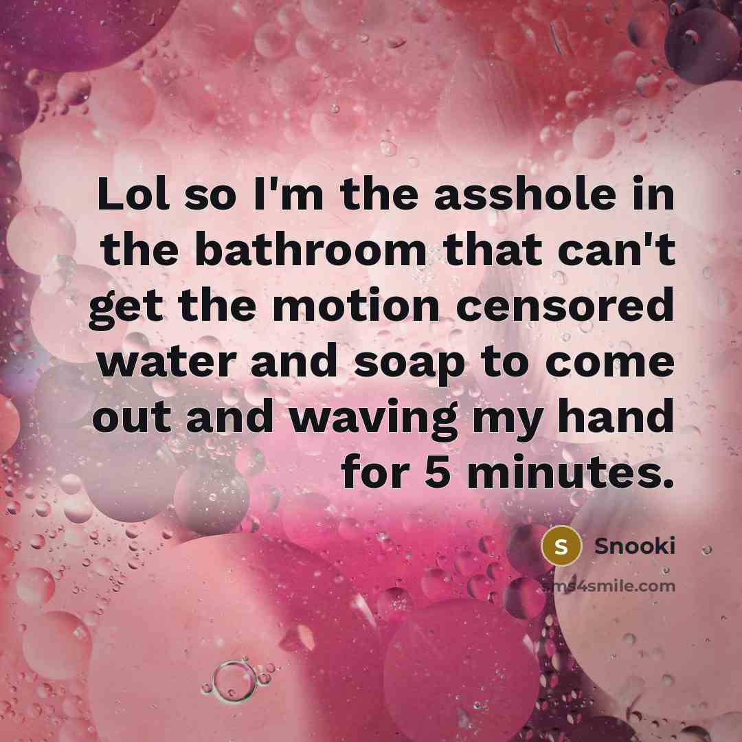 “Lol so I'm the asshole in the bathroom that can't…” quote by Snooki