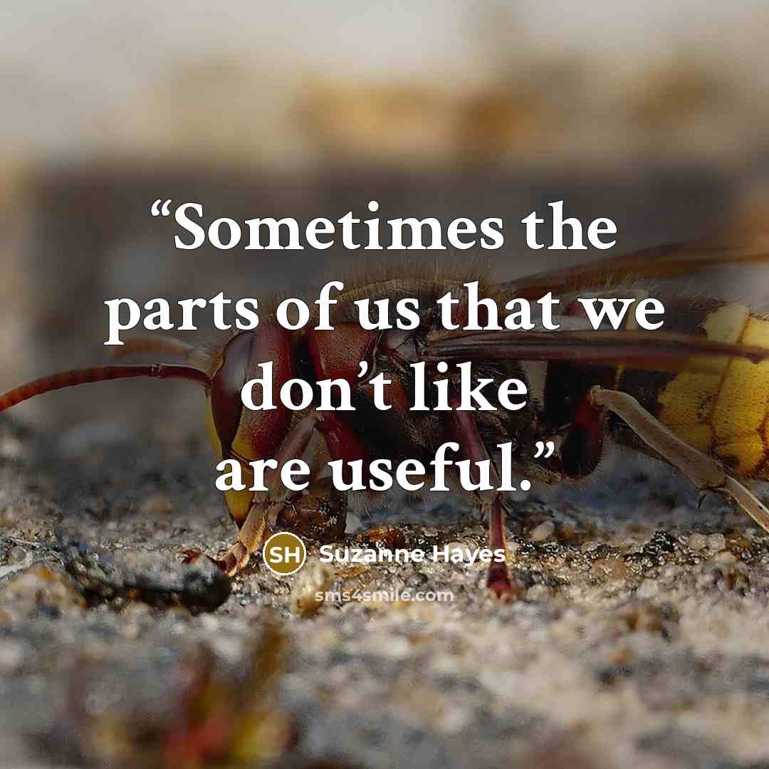“Sometimes the parts of us that we don’t like are useful.” quote by Suzanne Hayes