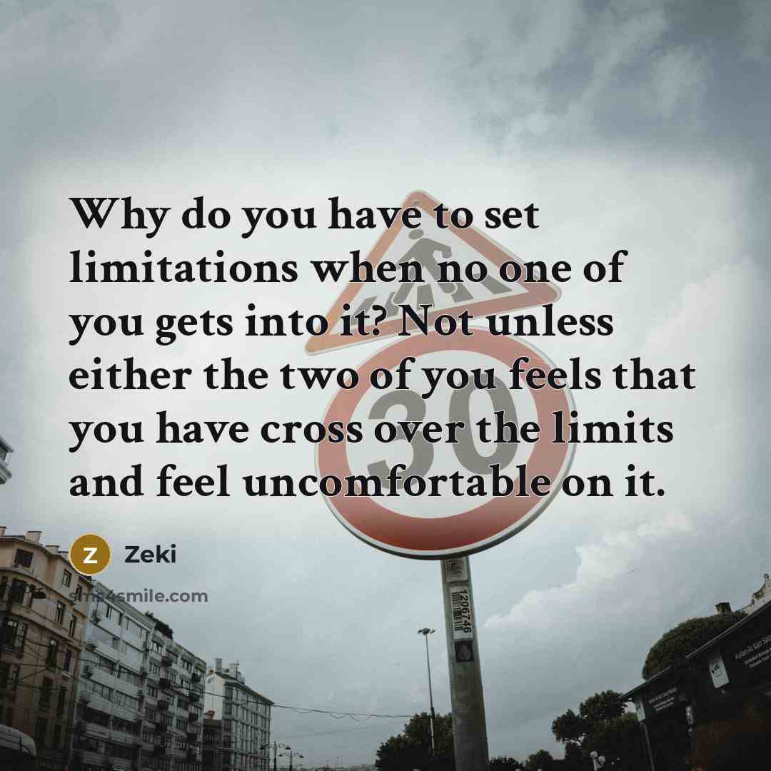 “Why do you have to set limitations when no one of you gets into it? Not unless either the two of you feels that you have cross over the limits and feel uncomfortable on it.” quote by Zeki