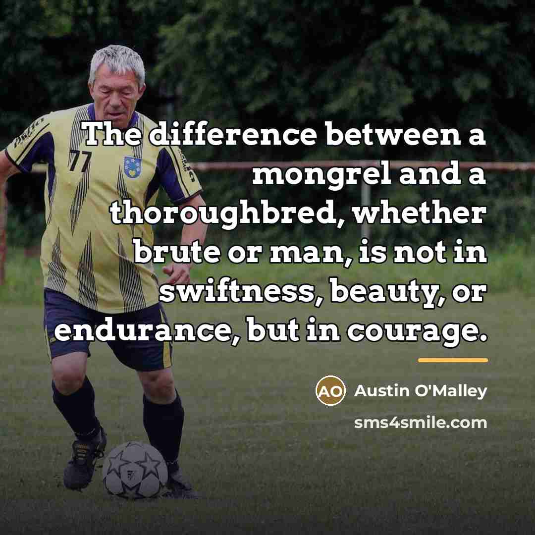 “The difference between a mongrel and a thoroughbred, whether brute…” quote by Austin O'Malley