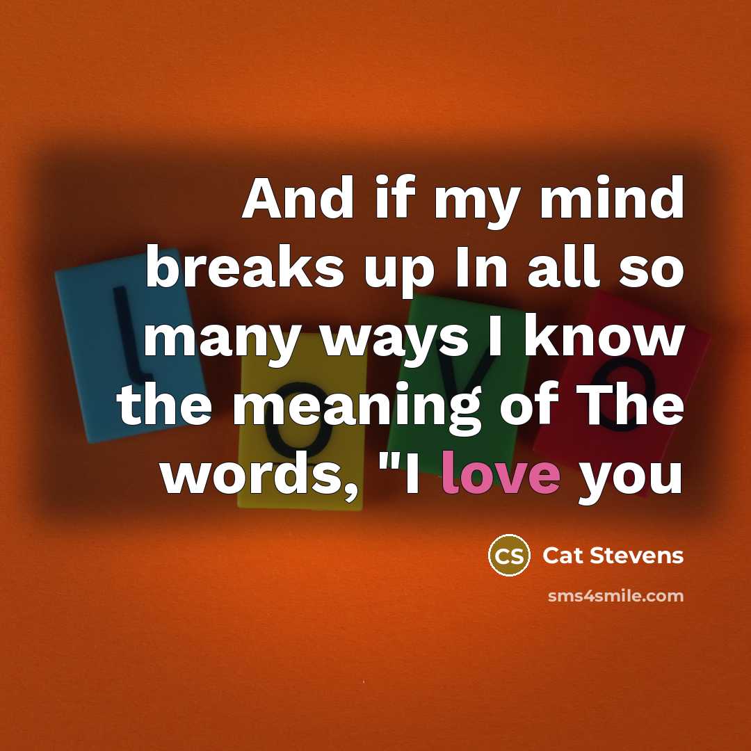 “And if my mind breaks up In all so many…” quote by Cat Stevens