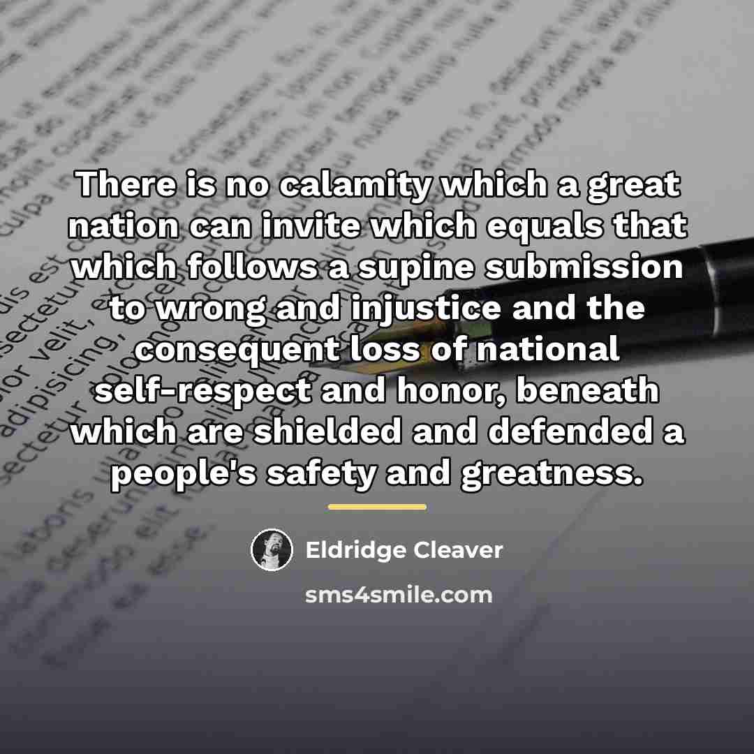 “There is no calamity which a great nation can invite…” quote by Eldridge Cleaver
