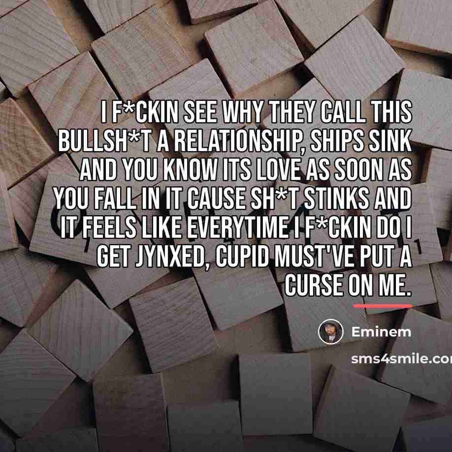 “I f*ckin see why they call this bullsh*t a relationship,…” quote by Eminem