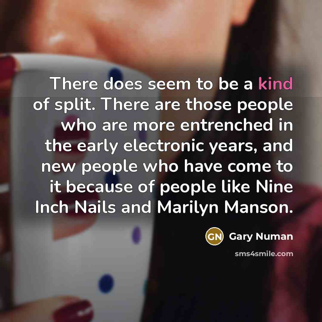 “There does seem to be a kind of split. There…” quote by Gary Numan