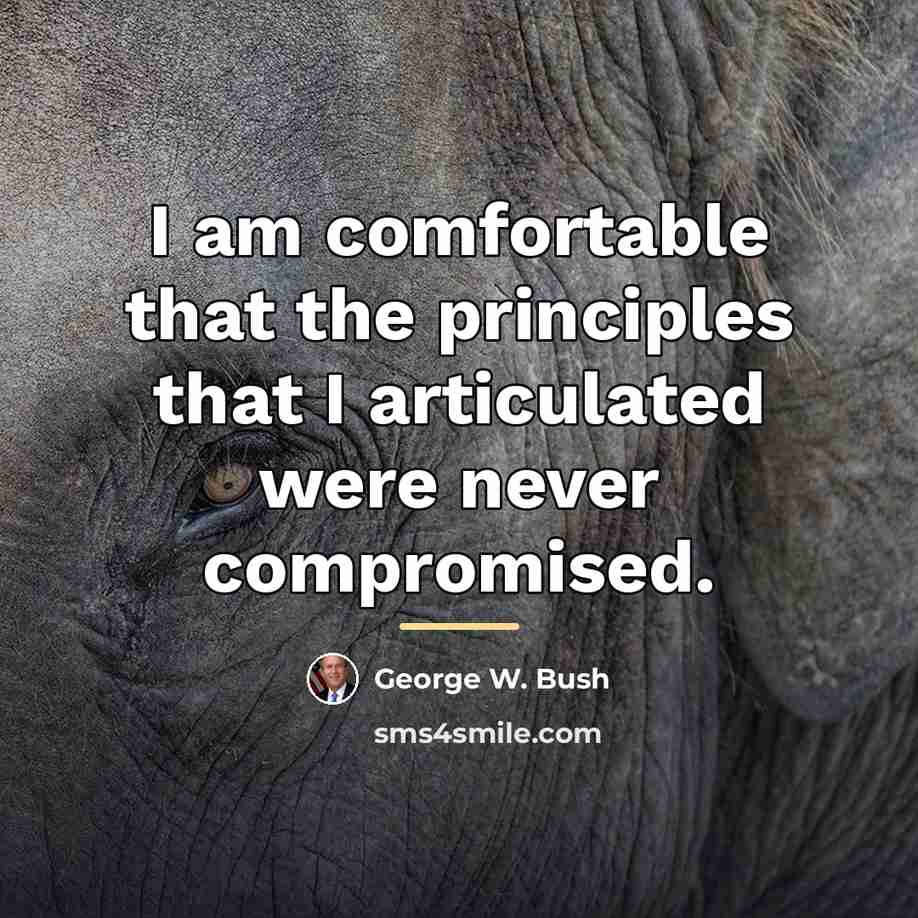 “I am comfortable that the principles that I articulated were…” quote by George W. Bush