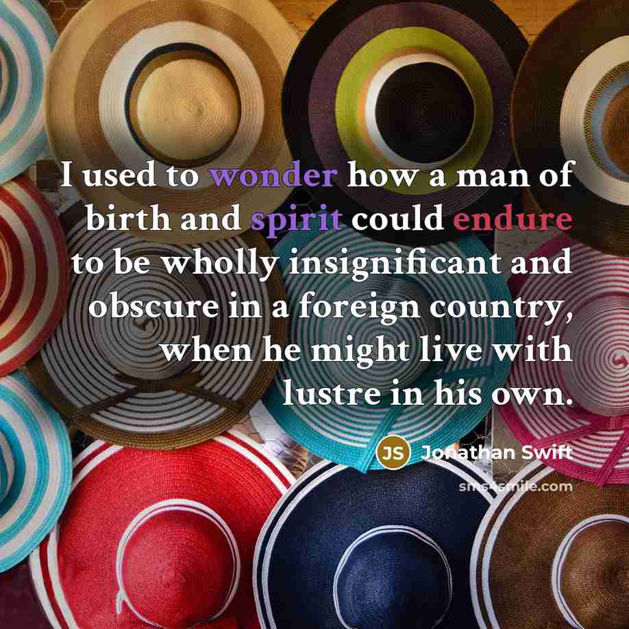 “I used to wonder how a man of birth and…” quote by Jonathan Swift